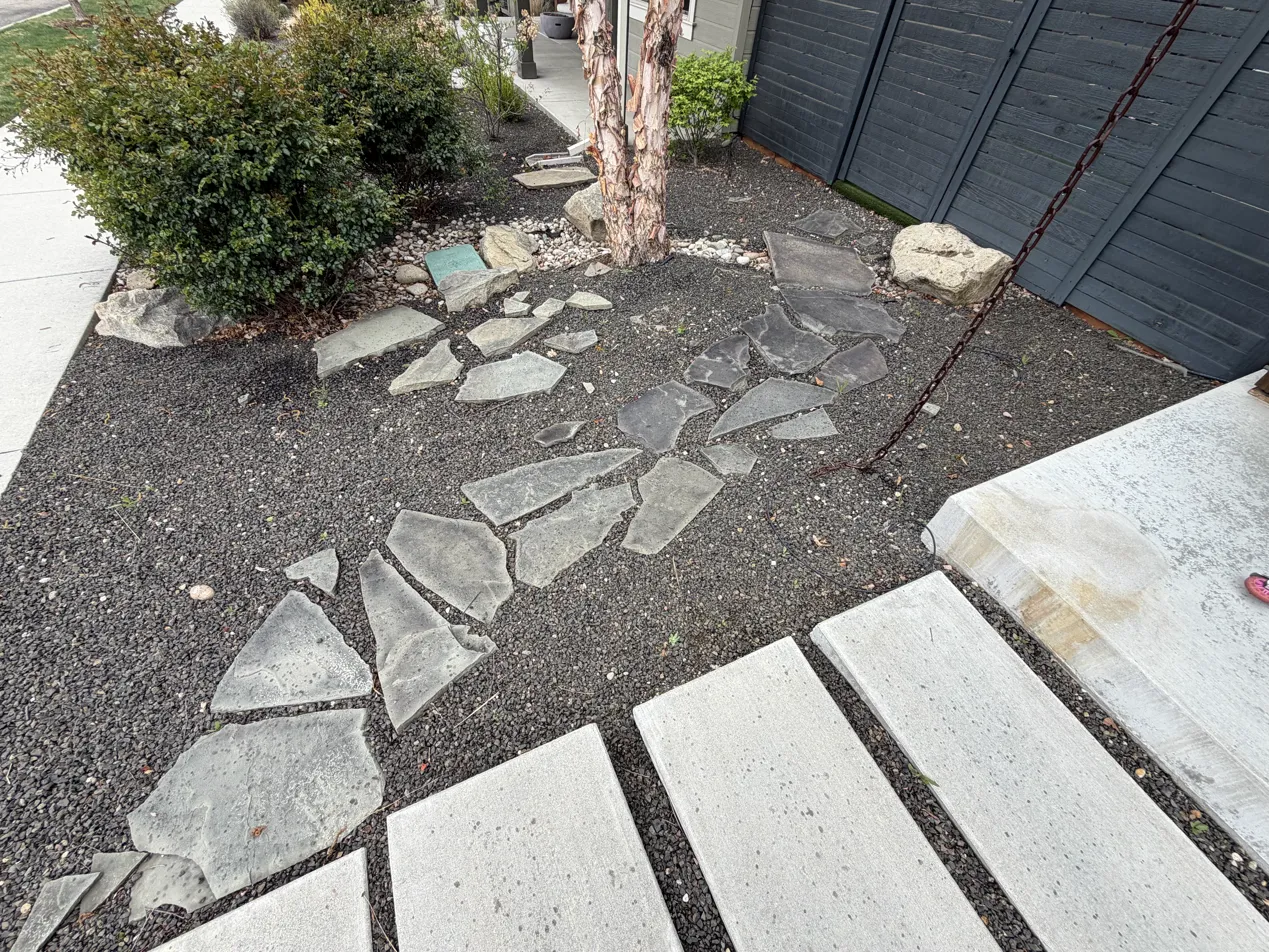 Front Yard West Side