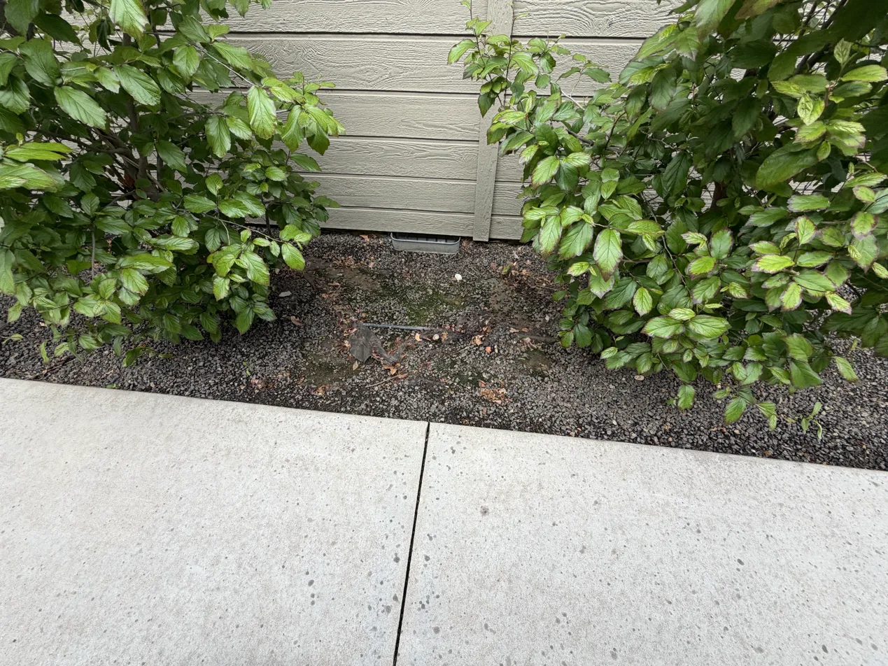 Back Yard by Porch